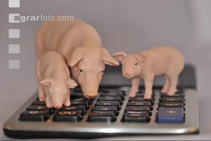 Finanzen Schweine 22
