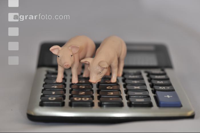 Finanzen Schweine 5