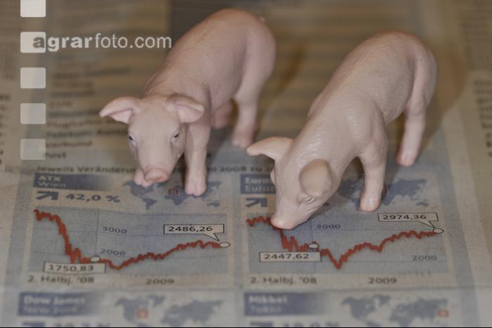 Finanzen Schweine 6
