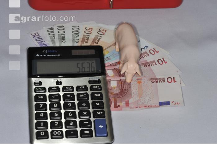 Finanzen Schweine 7