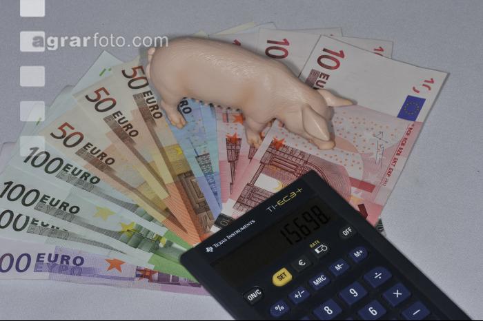 Finanzen Schweine 8