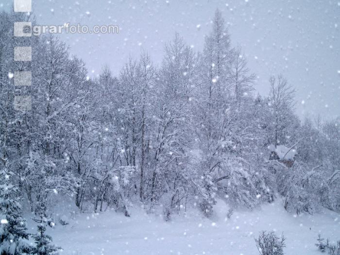 Schnee 6