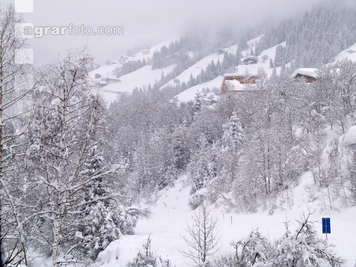 Schnee 4