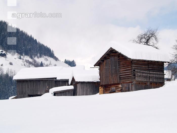 Schnee 3