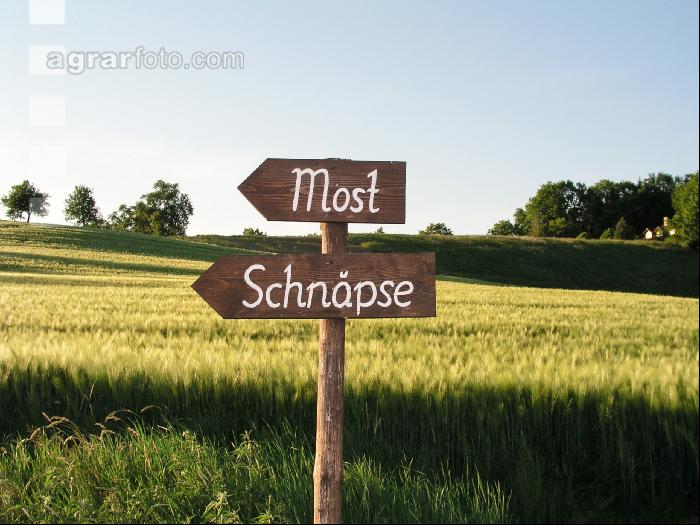 Mostheuriger Schild 2