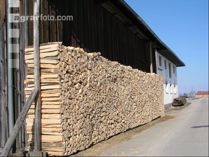 Brennholz 16