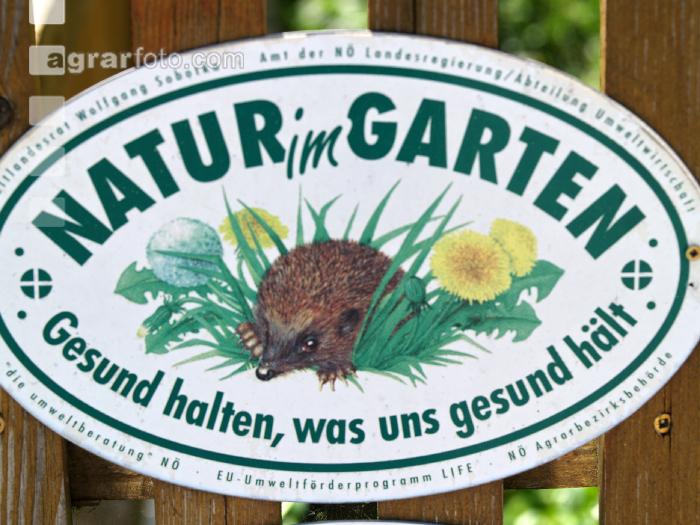 Natur im Garten