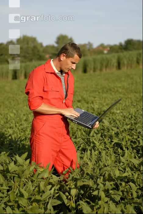 Soja Laptop