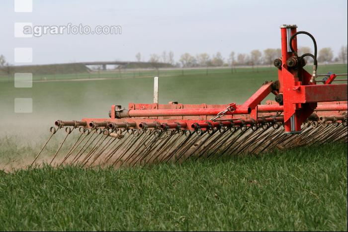 Striegel Getreide J 3
