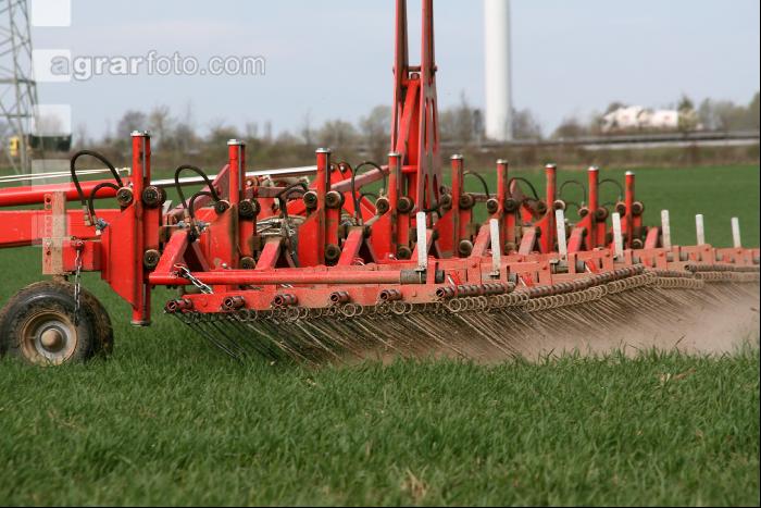 Striegel Getreide J 1