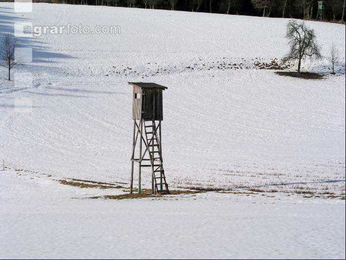 Hochstand 4