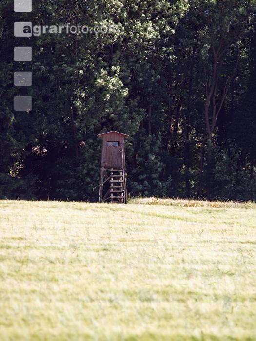 Hochstand 9