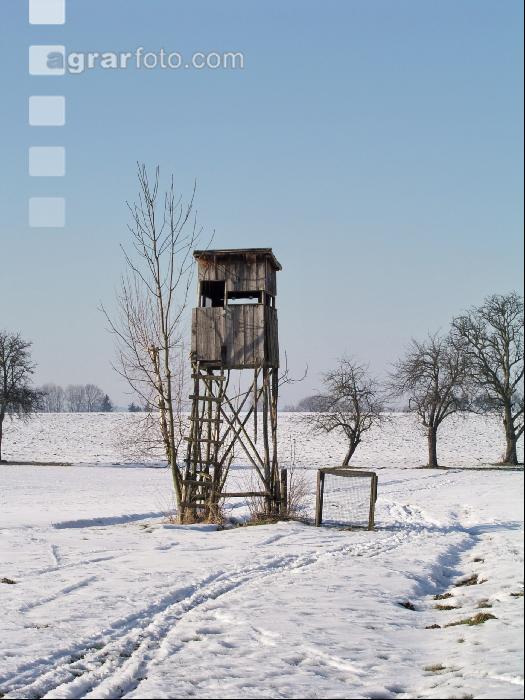 Hochstand 3