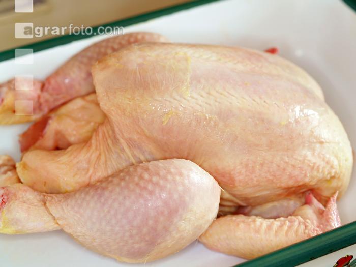 Huhn 1