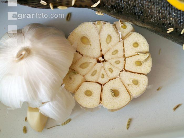 Knoblauchhälfte 2