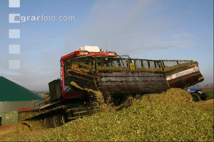 Maissilage J 7