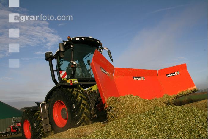 Maissilage J 6