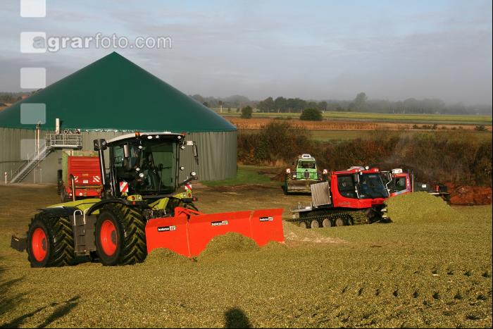 Maissilage J 5