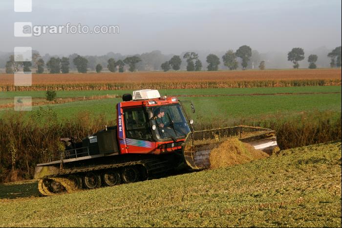 Maissilage J 4