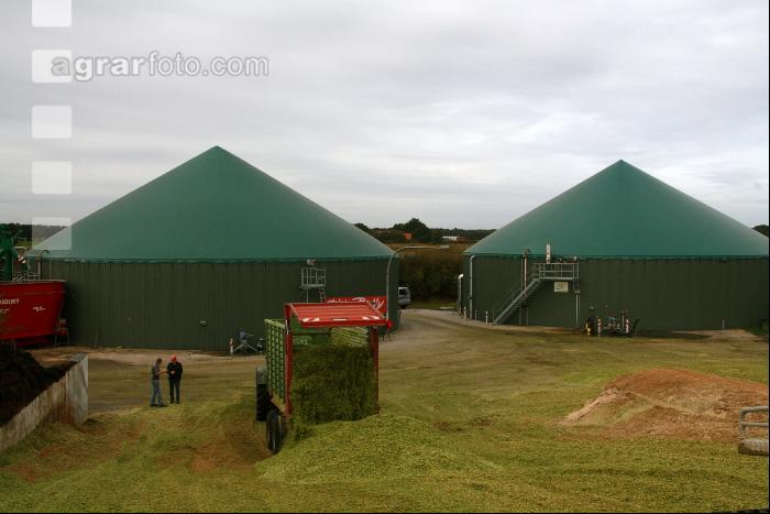 Maissilage J 1