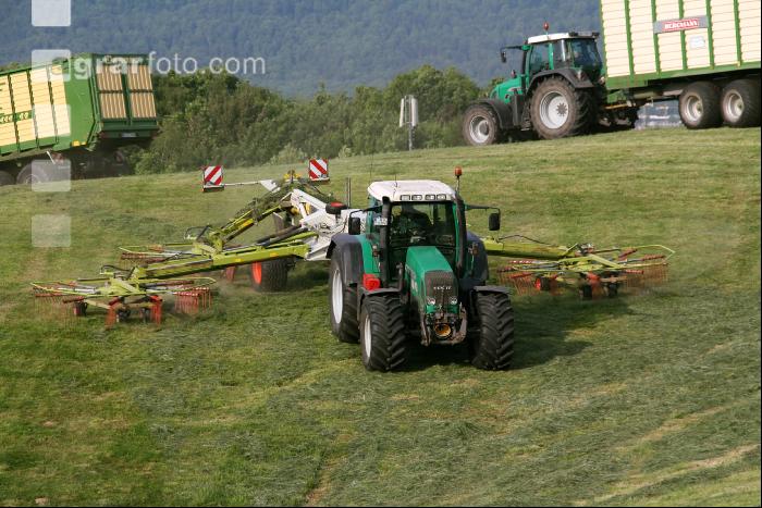 Gras Schwaden J 2