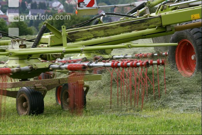 Gras Schwaden J 1