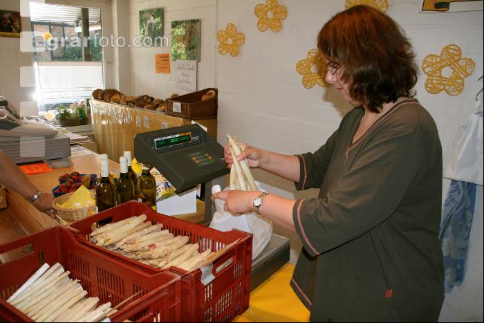 Spargel Verkauf J 1
