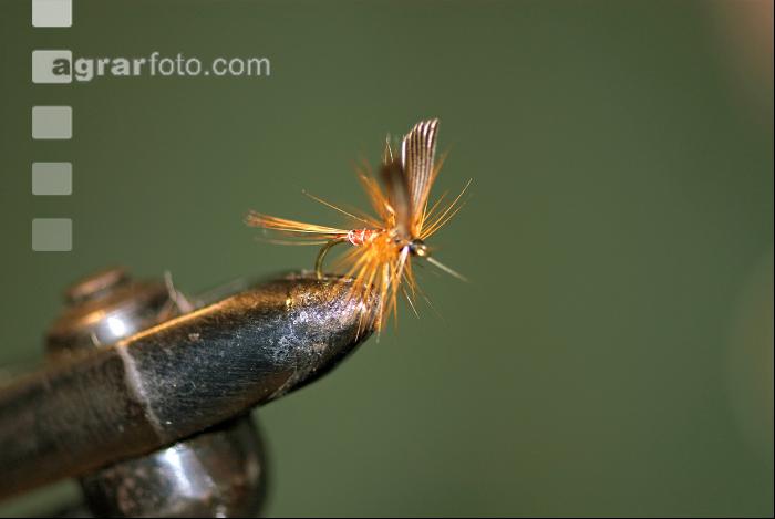 Fliegenbinden 7