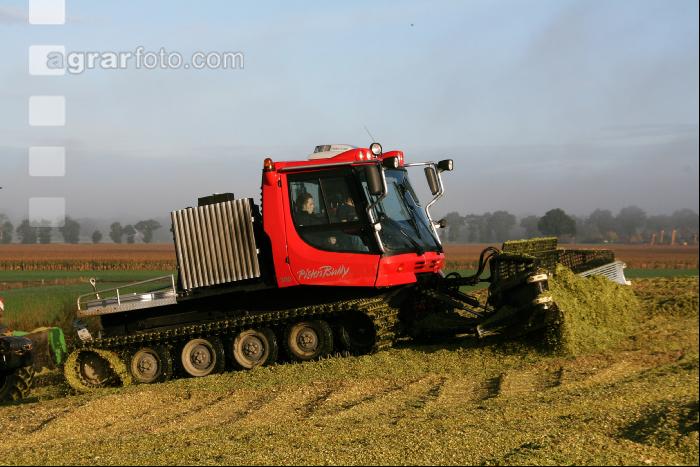 Maissilage J 11