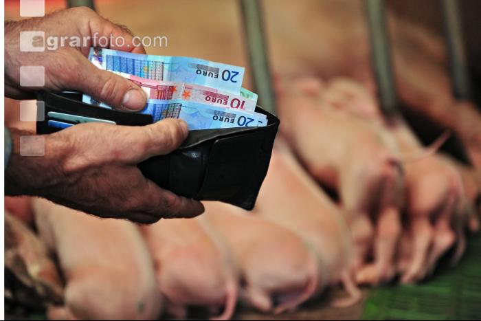 Finanzen Schweine 37