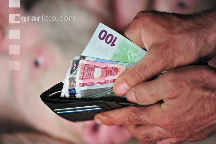Finanzen Schweine 40