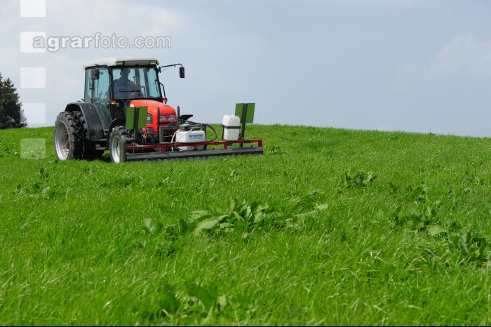 Ampfer Rotowiper 5