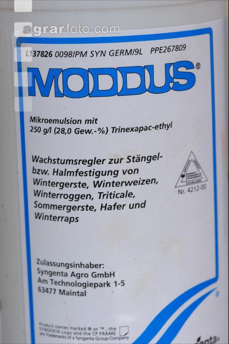 Halmverkürzung