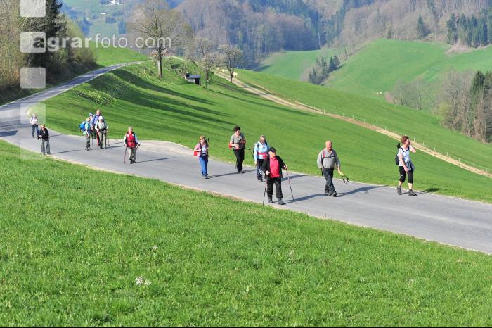 Wandern 10