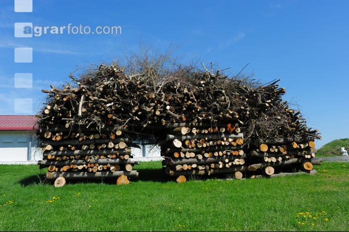 Holz Hackschnitzel 