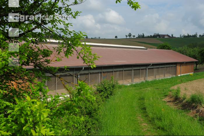 Schweinestall 14