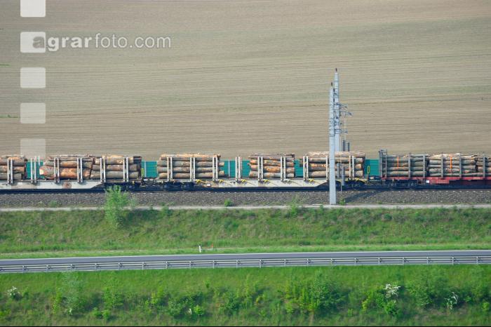 Zug Holztransport 1