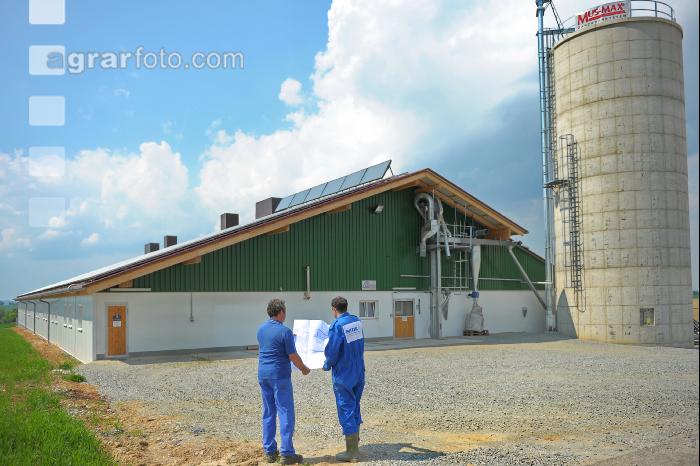 Bauplan Schweinestall 6