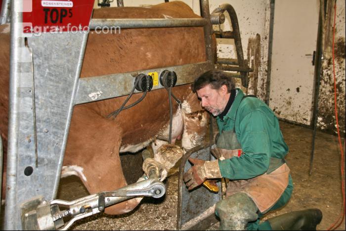 Studenten Kurs J 24