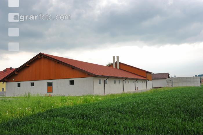 Schweinestall 25