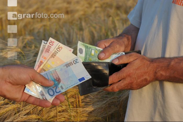 Finanzen Getreide 14