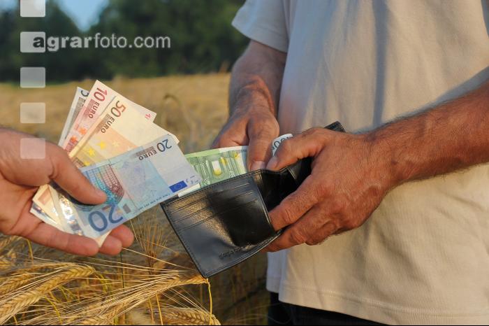 Finanzen Getreide 15