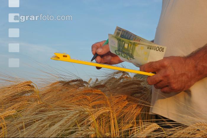 Finanzen Getreide 20