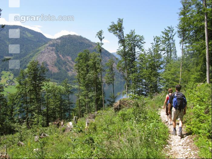 Wandern 12