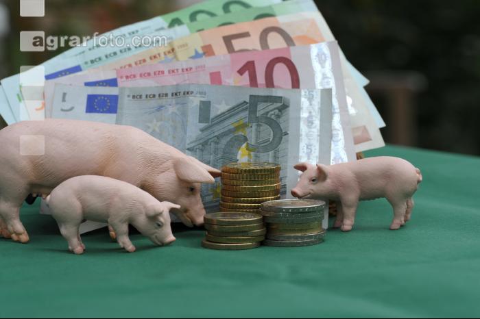 Finanzen Schweine 43