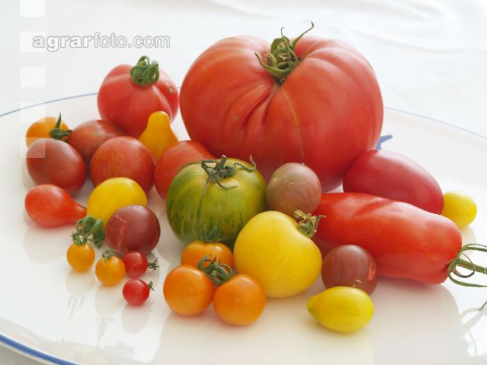 Tomatenvielfalt 8