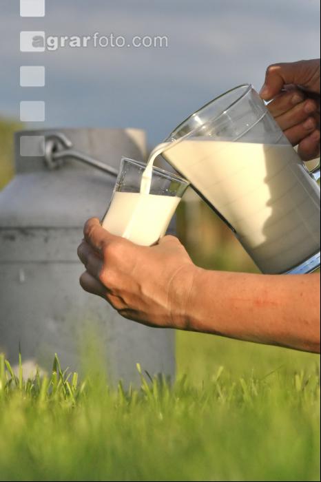 Trinkmilch 6