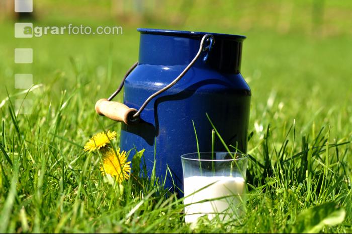 Trinkmilch 11