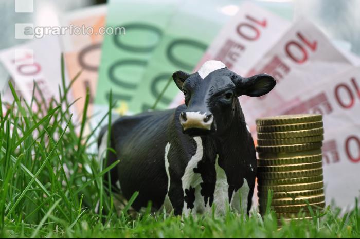 Finanzen Rinder 19
