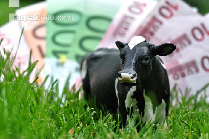 Finanzen Rinder 18